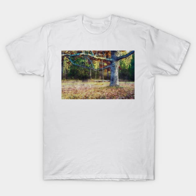 Tree Swing In Autumn 8 T-Shirt by Robert Alsop